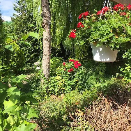 Dom wakacyjny Brueckner Morstadt